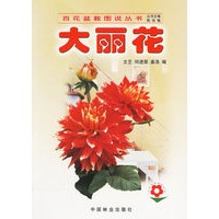大丽花——百花盆栽图说丛书