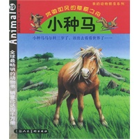 小种马·奔驰如风的草原之舟[适合5至10岁小朋友阅读]——我的动物朋友系列（注音版）