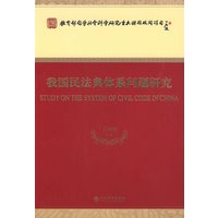 我国民法典体系问题研究