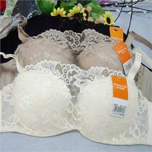 贝婷娜 品牌专柜 性感内衣 正品专卖 网面印花文胸84235