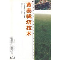 黄姜栽培技术