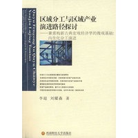 区域分工与区域产业演进路径探讨