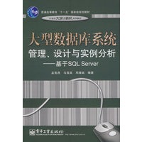 大型数据库系统管理、设计与实例分析——基于SQL Serv