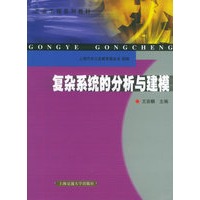 复杂系统的分析与建模——工业工程系列教材
