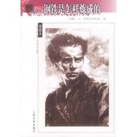钢铁是怎样炼成的——名著名译插图本