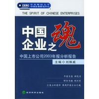 中国企业之魂：中国上市公司2003年报分析报告