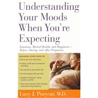 Understanding Your Moods When You're Expecting（ISBN=9780547053622）