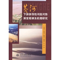 黄河下游游荡性河段河势演变规律及机理研究