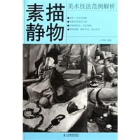 美术技法范例解析——素描静物