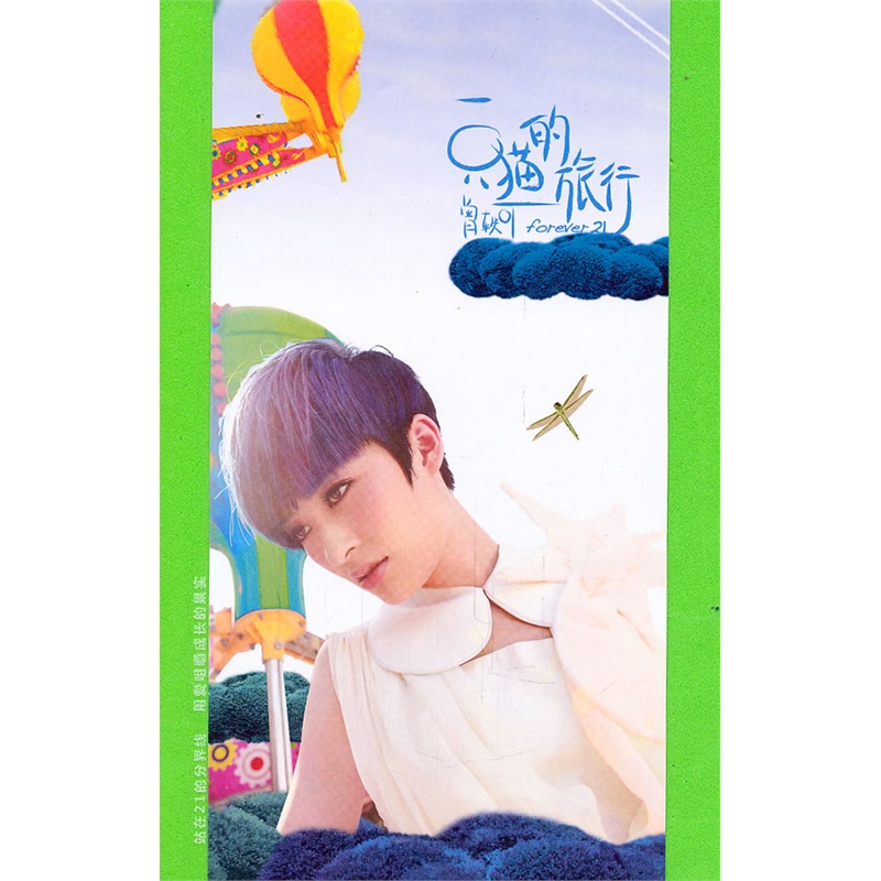 曾轶可:一只猫的旅行Forever 21(CD)价格_品牌