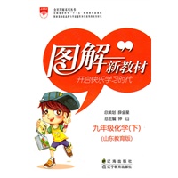 图解新教材_九年级化学下(山东教育版)