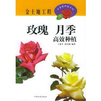 玫瑰、月季高效种植