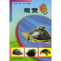 观赏龟