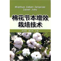 棉花节本增效栽培技术