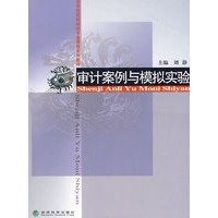 审计案例与模拟实验
