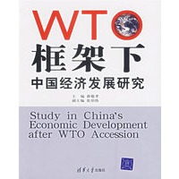 WT框架下中国经济发展研究