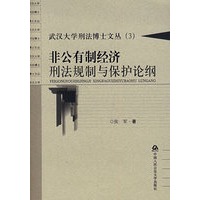 非公有制经济刑法规制与保护论纲——武汉大学刑法博士文丛