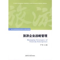 旅游企业战略管理