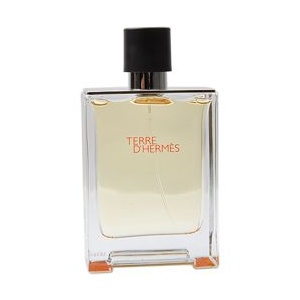 【货到付款】Hermes爱马仕大地男士淡香水100ml EDP