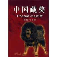 中国藏獒