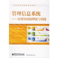 管理信息系统——应用导向的理论与实践