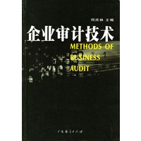 企业审计技术