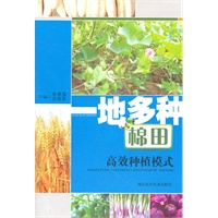 一地多种棉田高效种植模式