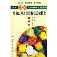 甜椒良种及高效栽培关键技术