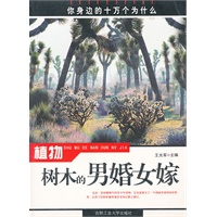 植物——树木的男婚女嫁