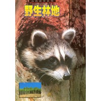 自然世界系列：野生林地