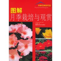 图解月季栽培与观赏