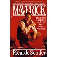 独立见解：成功的故事背后Maverick