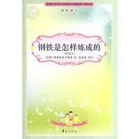钢铁是怎样炼成的/新课标必读丛书