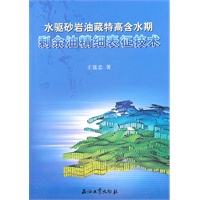 水驱砂岩油藏特高含水期剩余油精细表征技术