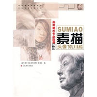 高考美术专业指导教程-素描头像