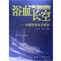 浴血长空--中国空军抗日战史