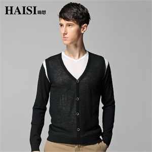 HAISI嗨思 2012春装新款 时尚 V领 套头 毛衣 男 QC-2133