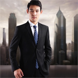 新春秋款 男士西服 皮尔卡丹 正装西服 灰色暗格西装 套装99-10
