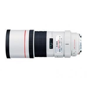 佳能 EF 300mm f/4L IS USM