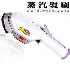 天瑞 金科SJ-2109 蒸汽熨刷/蒸气熨斗 烫刷熨斗 600W C21