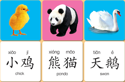 宝宝启蒙学习卡.动物世界 小卡片，大智慧。学前儿童知识必备&nbs_图书杂志-少儿-幼儿启蒙