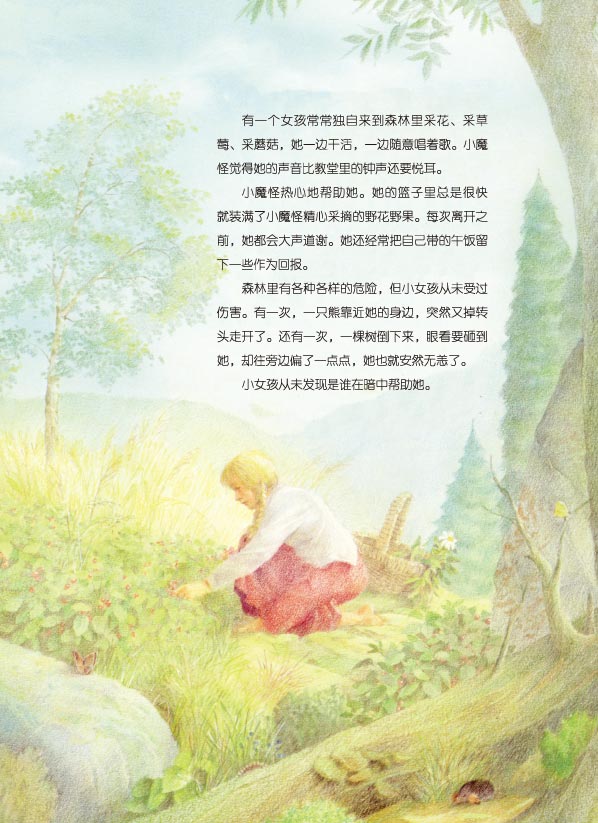 插图