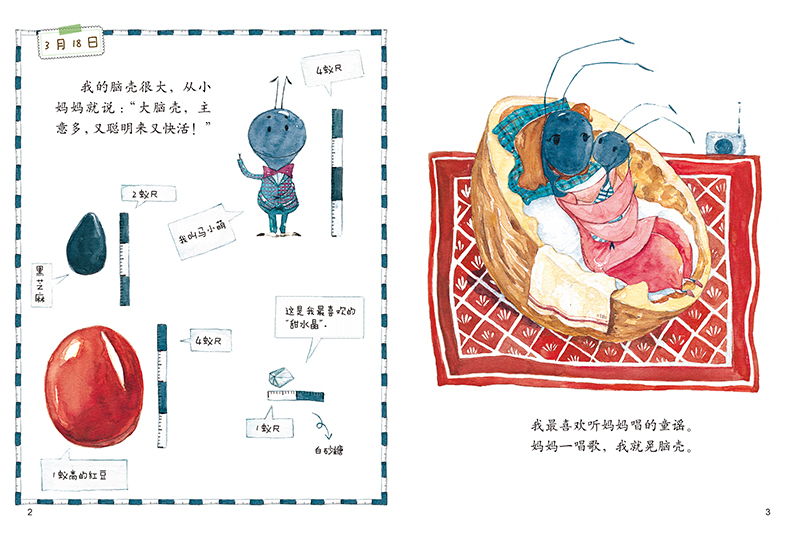 插图