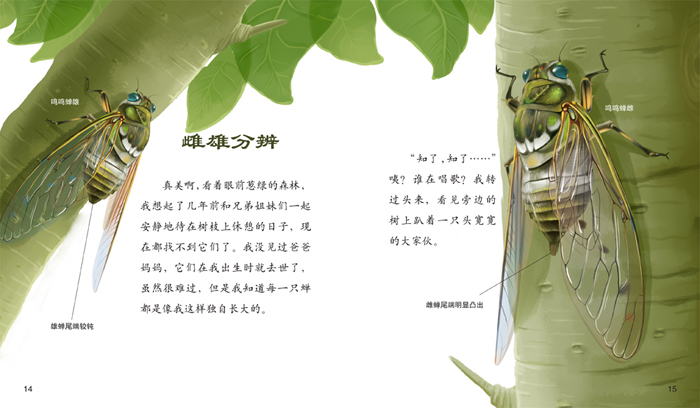 《【正版】法布尔昆虫记共10册 周伟 9787538485240 吉林科学技术出版社》【简介_书评_在线阅读】 - 当当 - 逸文轩图书专营店