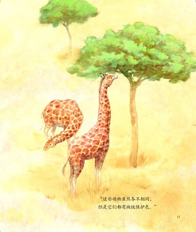 插图