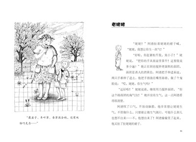 插图