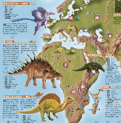 中国地图 世界地图 恐龙地图 海洋动物 4合1套装图片