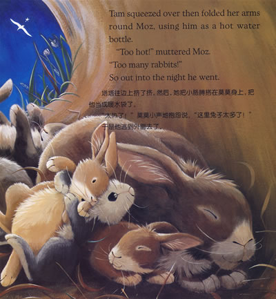 插图