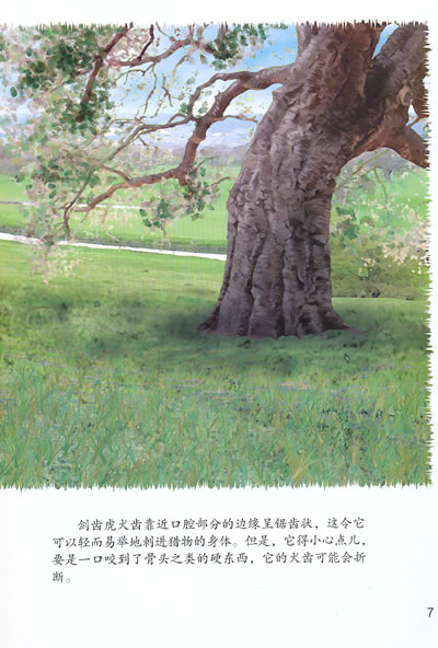 插图