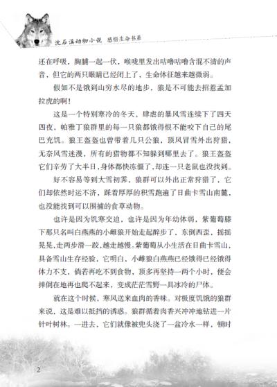 <em>沈石溪</em>动物小说·感悟生命书系 <em>狼国女王</em>推荐